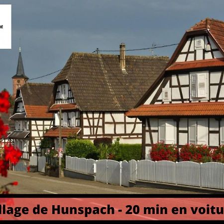 Duplex - Le Cosy - Hyper Centre Apartment Haguenau Luaran gambar