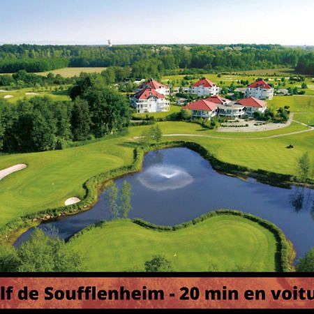 Duplex - Le Cosy - Hyper Centre Apartment Haguenau Luaran gambar