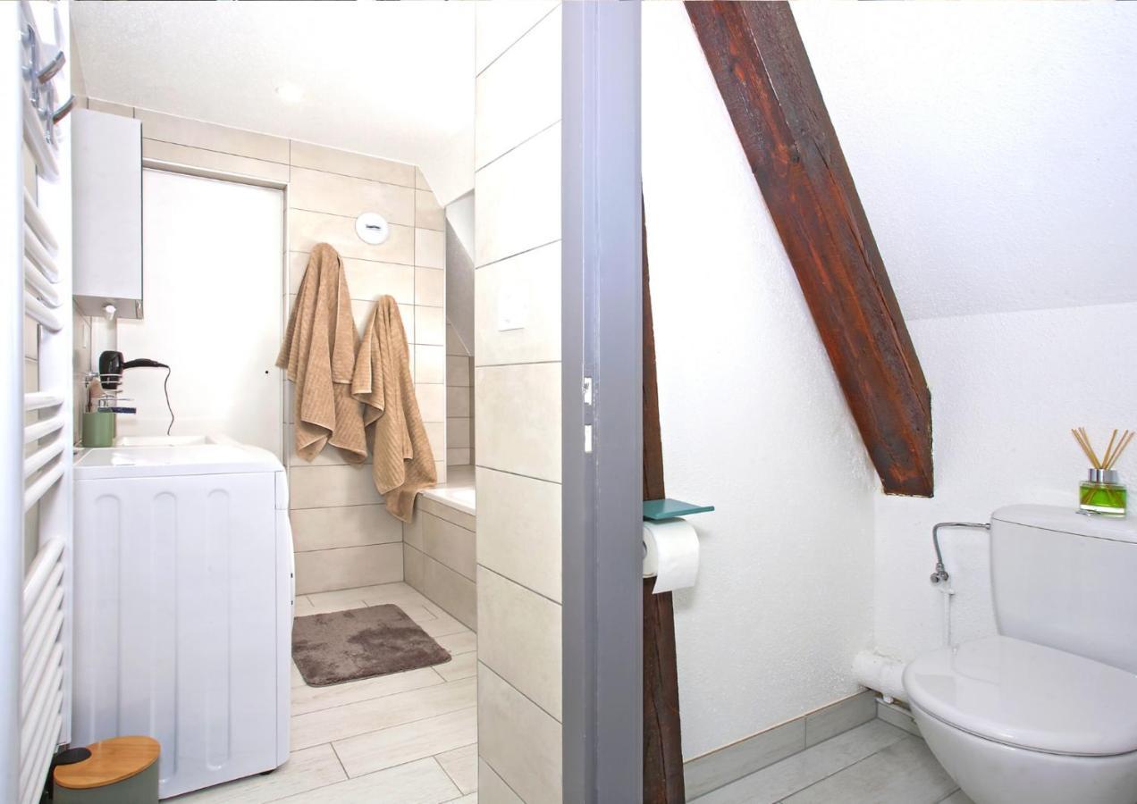 Duplex - Le Cosy - Hyper Centre Apartment Haguenau Luaran gambar