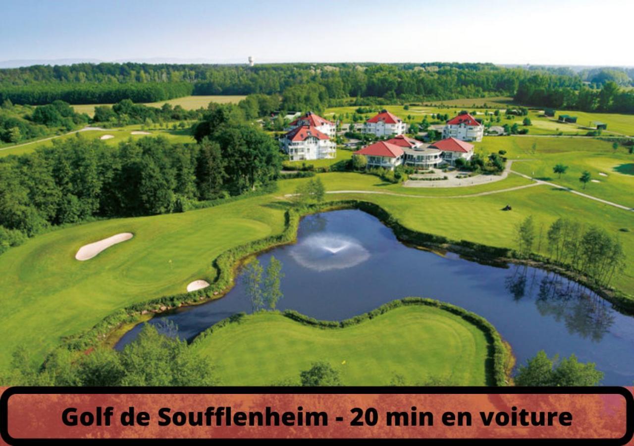 Duplex - Le Cosy - Hyper Centre Apartment Haguenau Luaran gambar