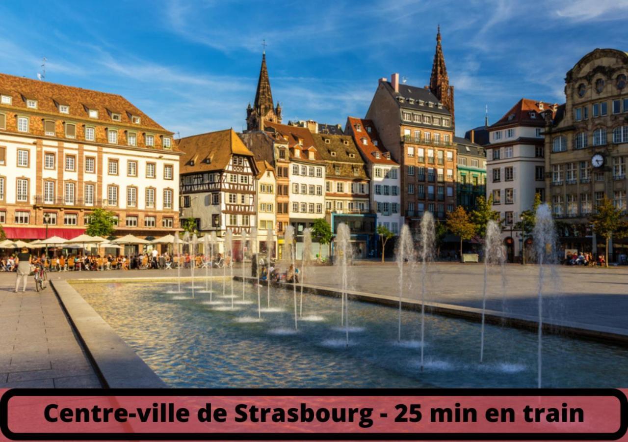 Duplex - Le Cosy - Hyper Centre Apartment Haguenau Luaran gambar