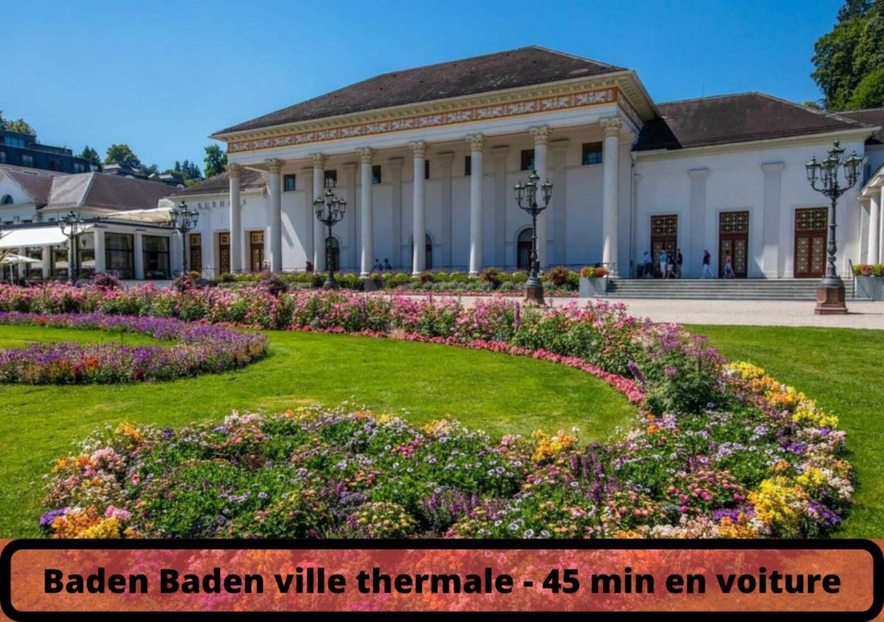 Duplex - Le Cosy - Hyper Centre Apartment Haguenau Luaran gambar