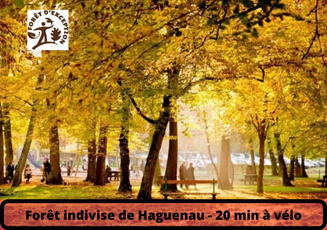 Duplex - Le Cosy - Hyper Centre Apartment Haguenau Luaran gambar